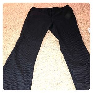 Dress pant- New York and company